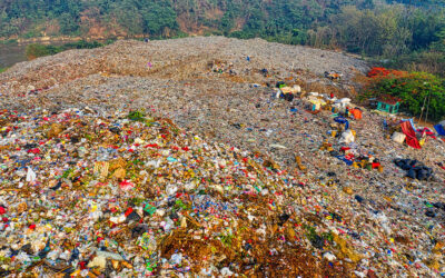 5 Reasons To Use Landfills As a Last Resort