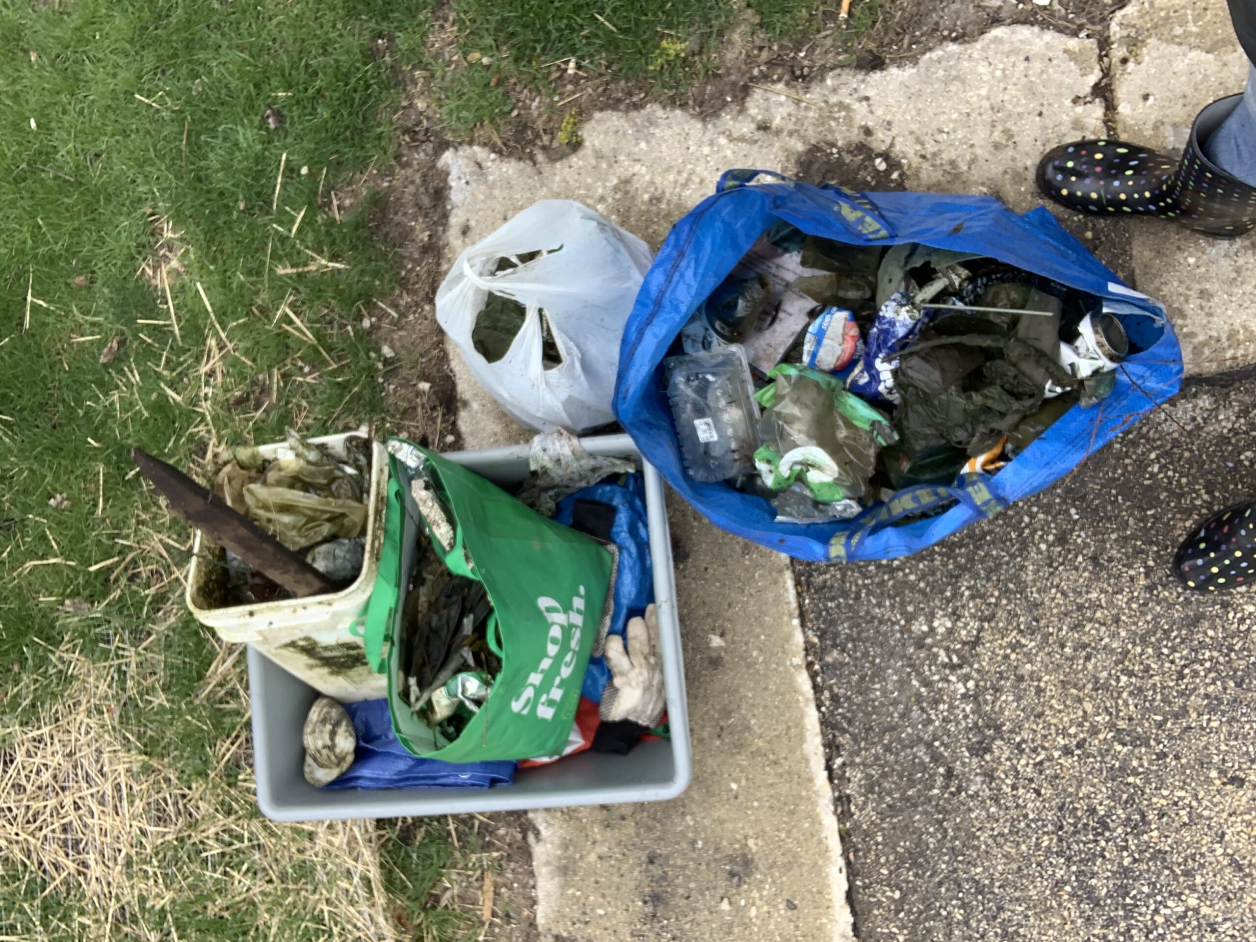 trash pick up from earth day
